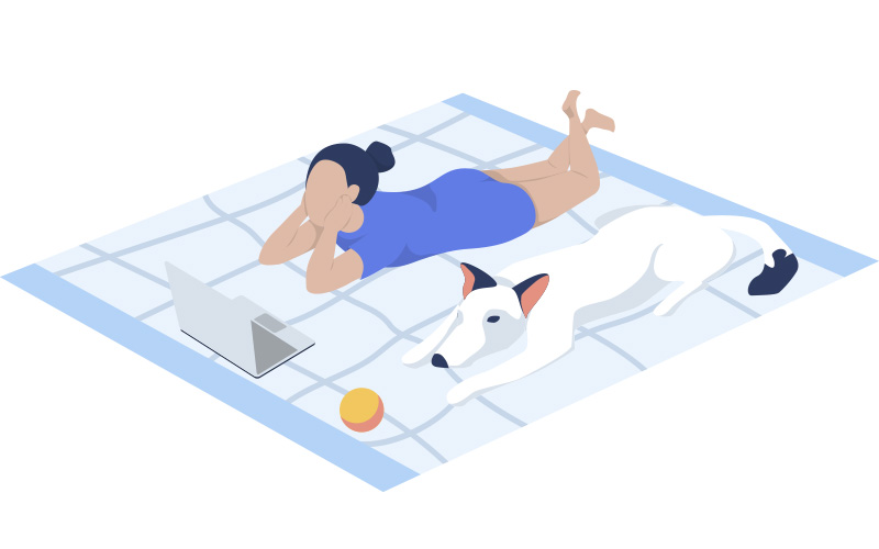 Los Beneficios de la Rehabilitación Veterinaria para perros y gatos.