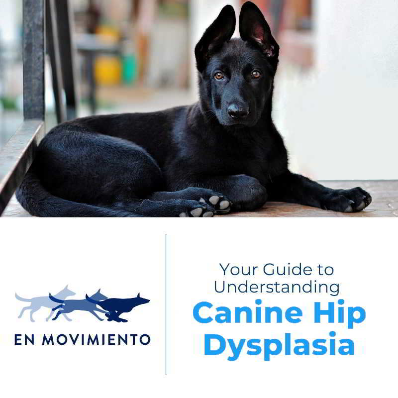 Ebook hip dysplasia