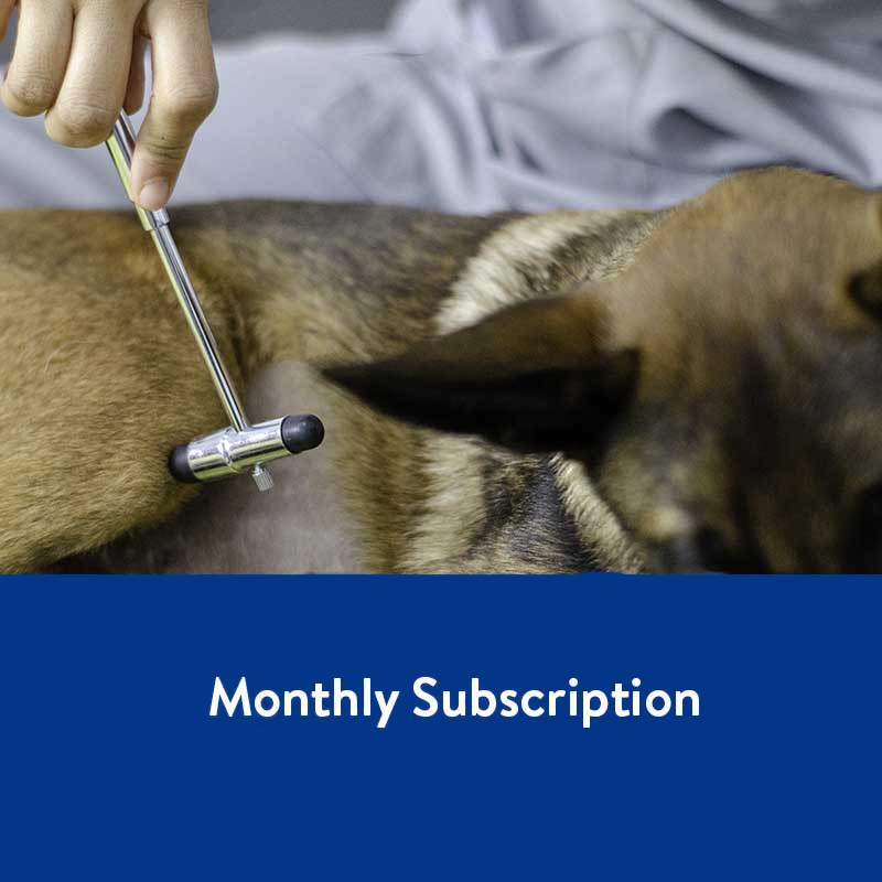 Monthly Veterinary Rehabilitation Service