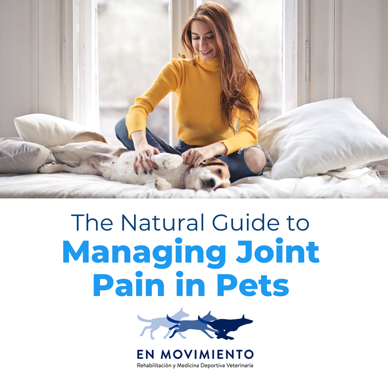Managing Joint Pain