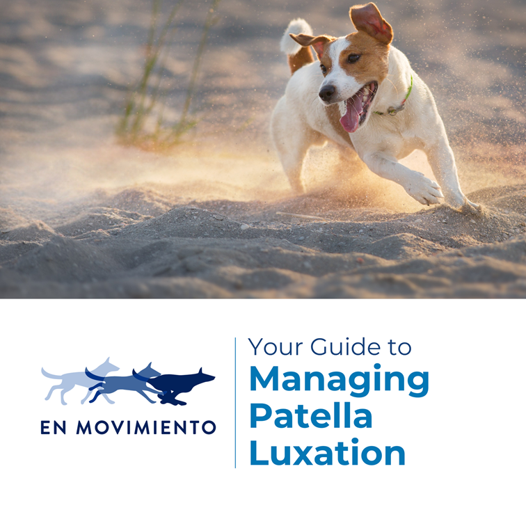 Managing Patellar Luxation